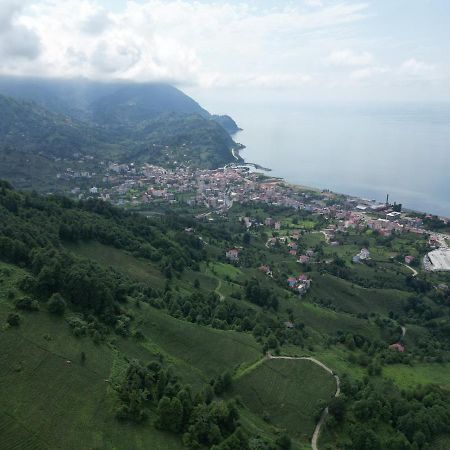 Oksijen Suit Artvin Exterior photo